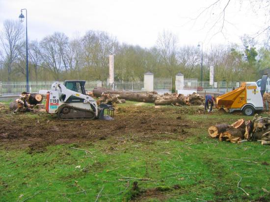 Travaux de débroussaillage et d'abattage