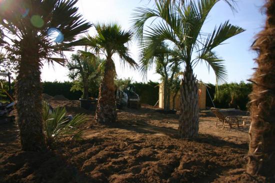 Aménagement, plantation