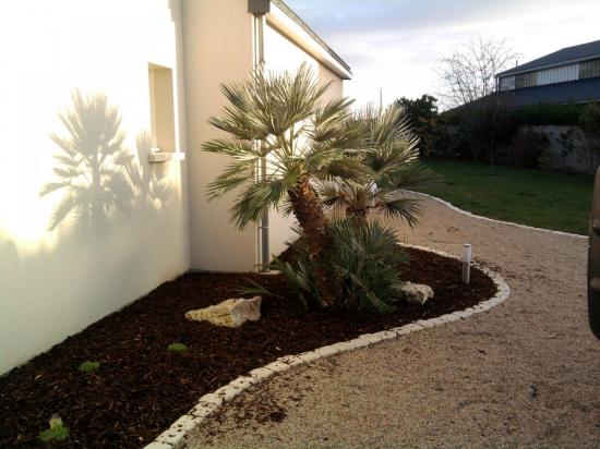 Plantation de massifs