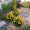 Jardin de particulier